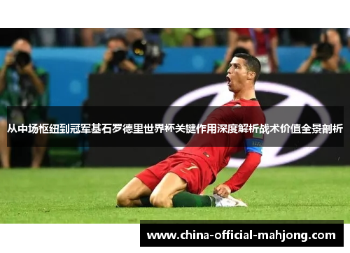 从中场枢纽到冠军基石罗德里世界杯关键作用深度解析战术价值全景剖析