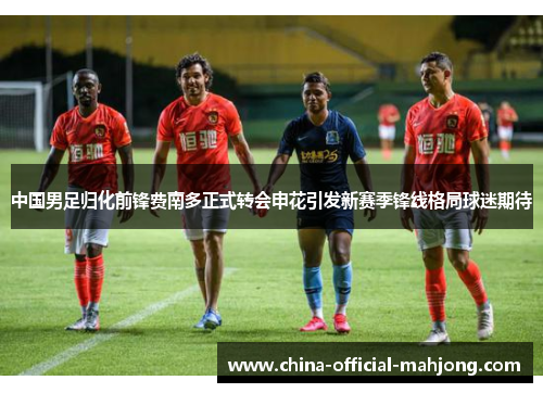 中国男足归化前锋费南多正式转会申花引发新赛季锋线格局球迷期待