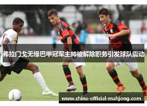 弗拉门戈无缘巴甲冠军主帅被解除职务引发球队震动