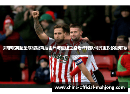 谢菲联英超垫底降级背后困局与重建之路老牌球队何时重返顶级联赛